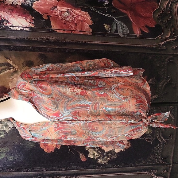 2X Sheer Riz and Ali blouse - Picture 4 of 4